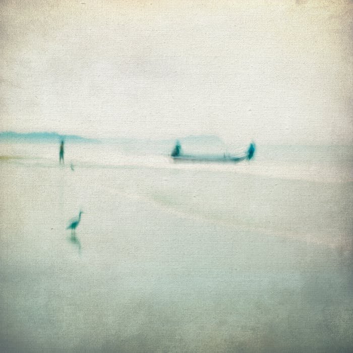 A photo of a beach with birds and a boat